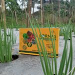 Company Profile PT Mazelta Dakara Perdana (Agri)