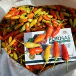 Company Profile PT Mazelta Dakara Perdana (Agri)