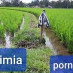 Company Profile PT Mazelta Dakara Perdana (Agri)